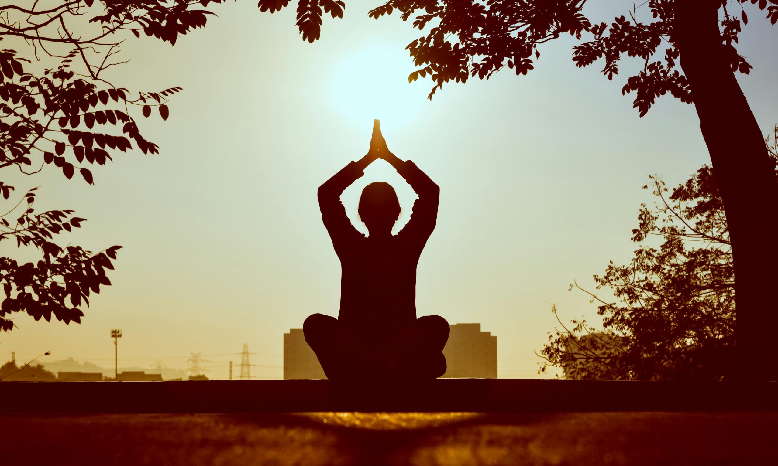 Mastering Calm: How Meditation Can Change Your Mind and Life