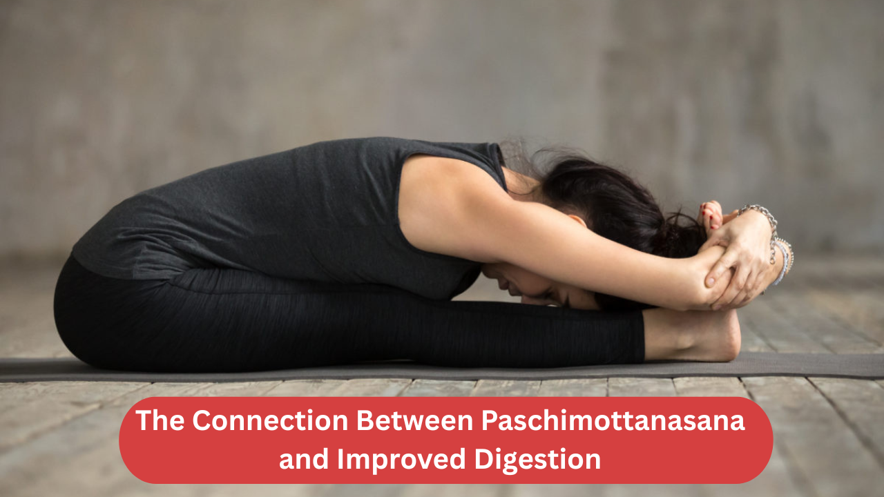 The Connection Between Paschimottanasana and Improved Digestion